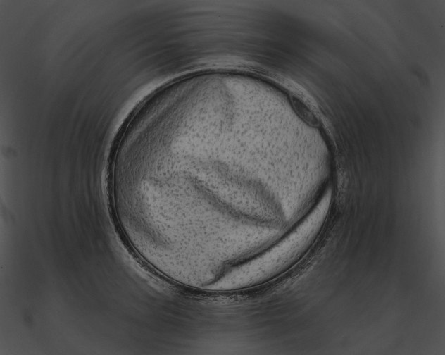 X0000090500947200708031206