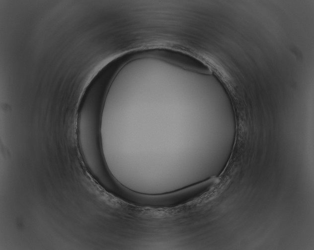 X0000090500948200708031206