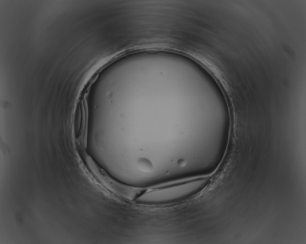 X0000090500949200708031206