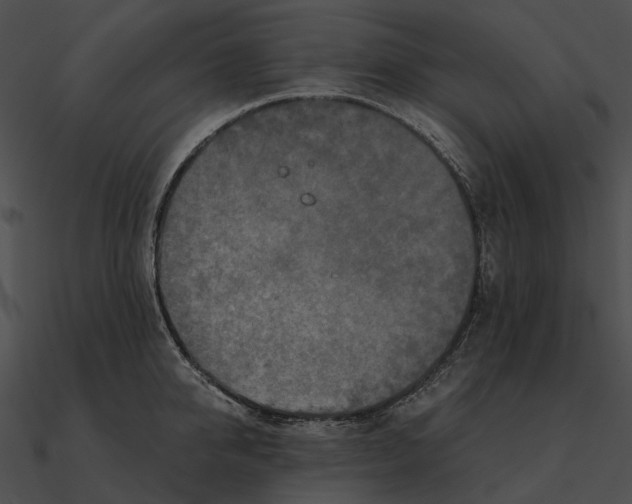 X0000090500950200708031206