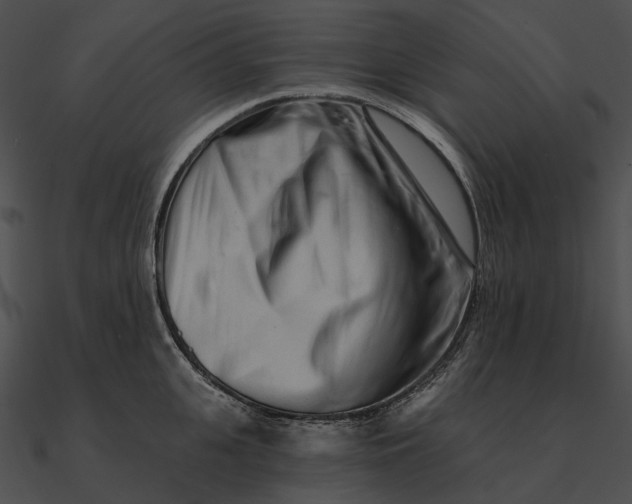 X0000090500951200708031206