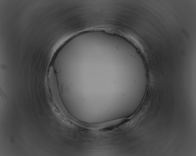 X0000090500952200708031206