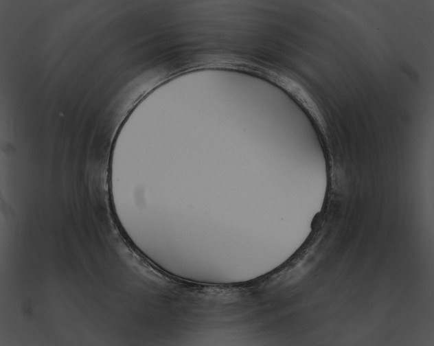 X0000090500954200708031206