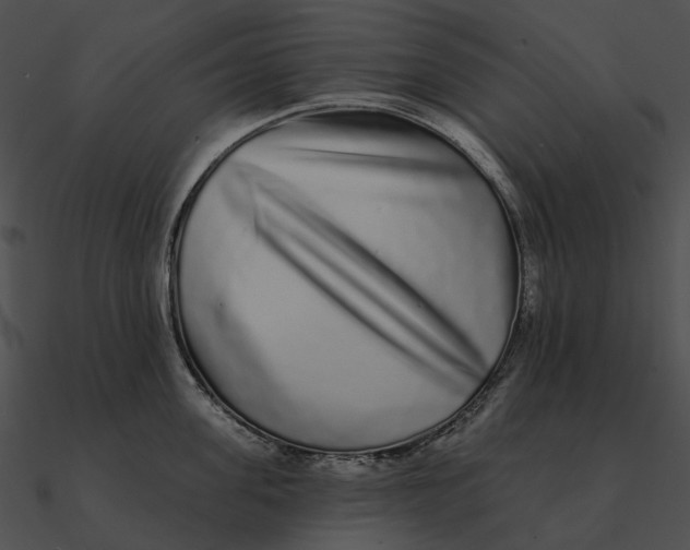 X0000090500955200708031206