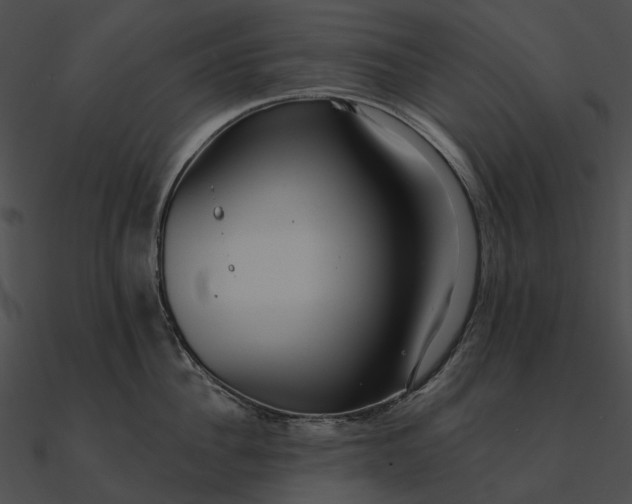 X0000090500956200708031206