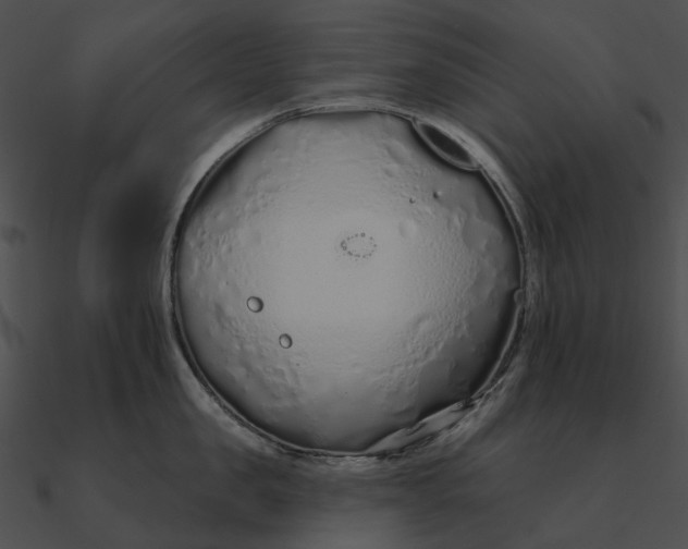 X0000090500957200708031206