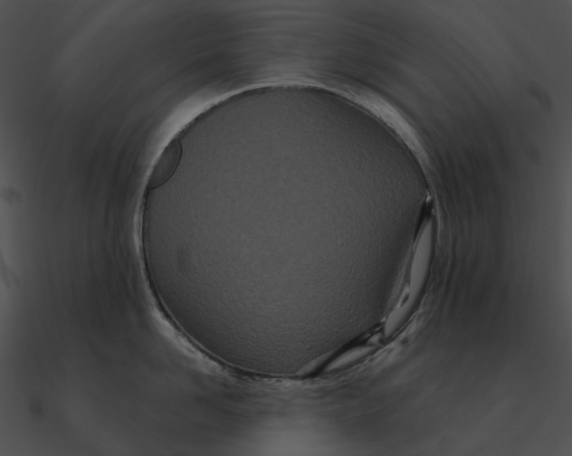 X0000090500958200708031206