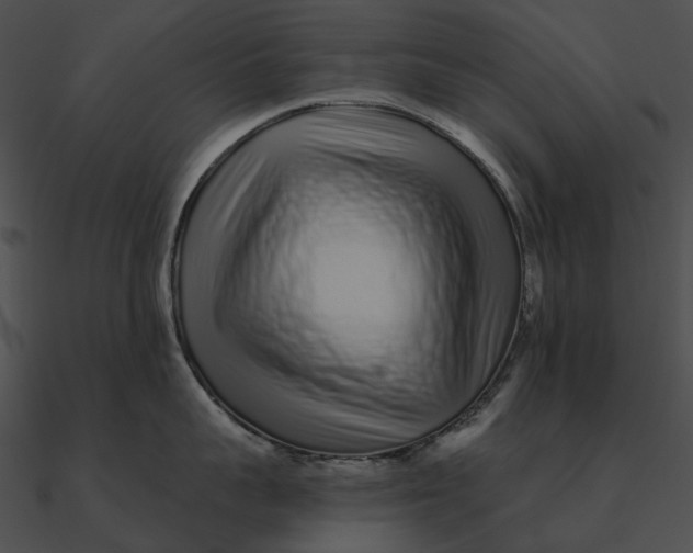 X0000090500959200708031206