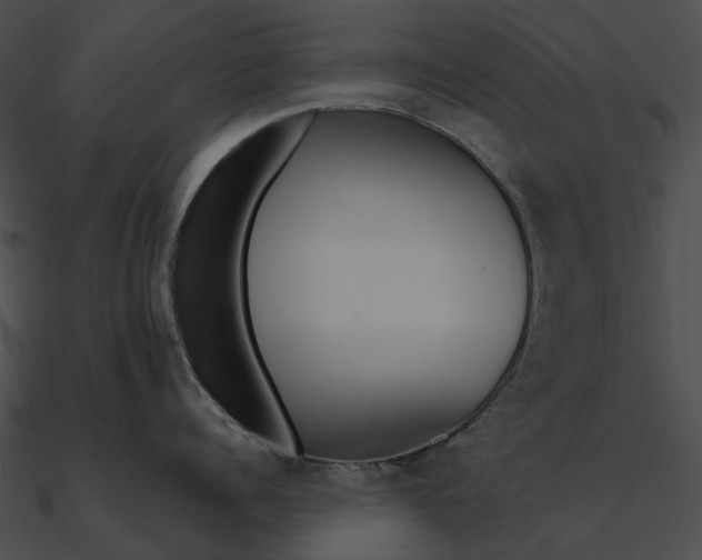 X0000090500960200708031206