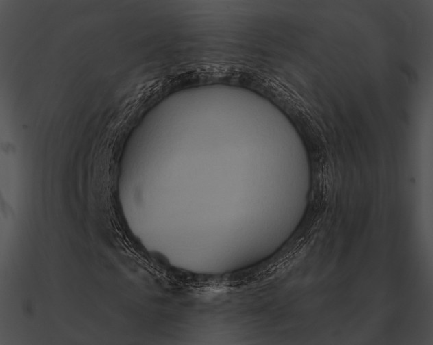 X0000090500961200708031206