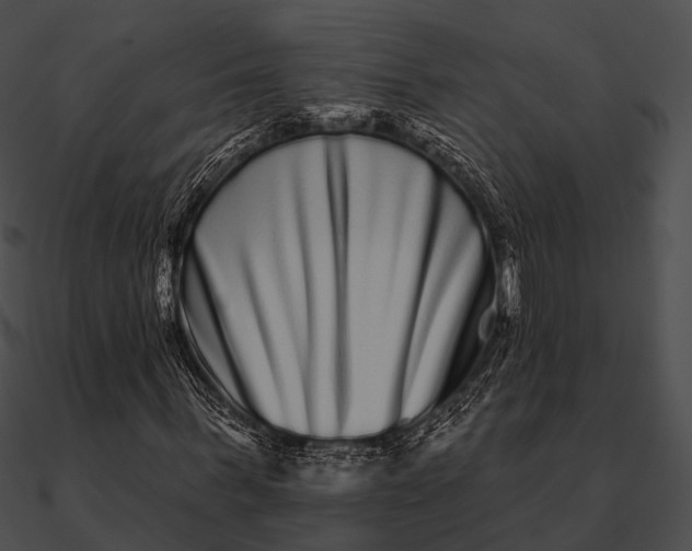 X0000090500963200708031206