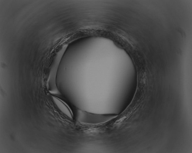 X0000090500965200708031206