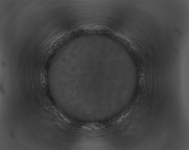 X0000090500966200708031206