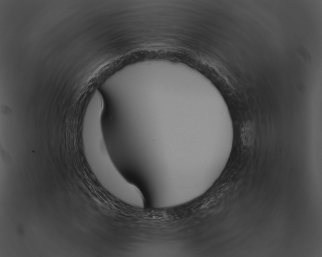 X0000090500968200708031206