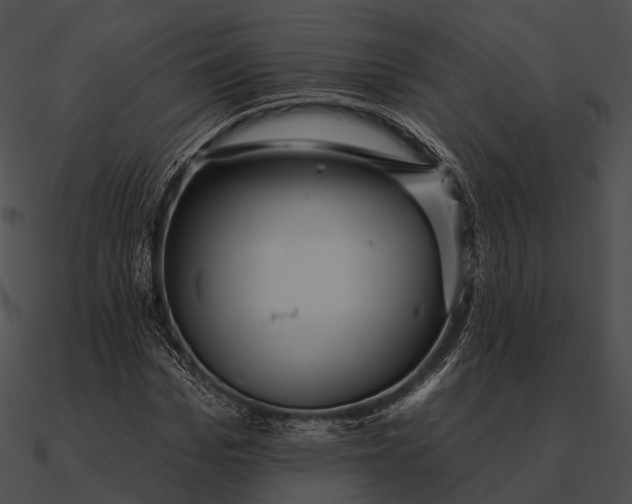 X0000090500969200708031206