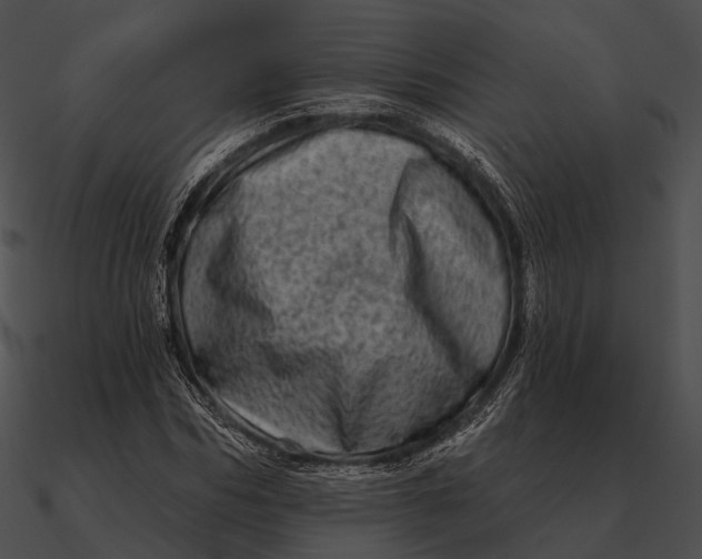 X0000090500970200708031206