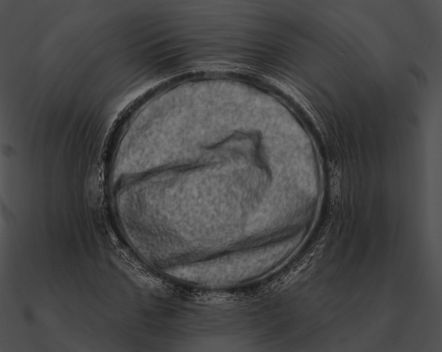 X0000090500971200708031206