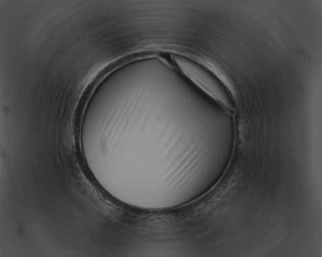 X0000090500972200708031206