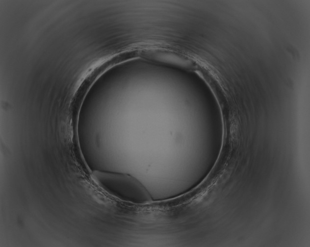 X0000090500973200708031206