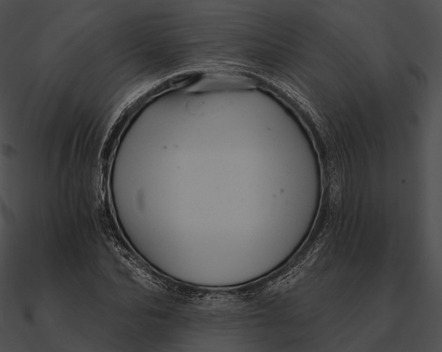 X0000090500974200708031205