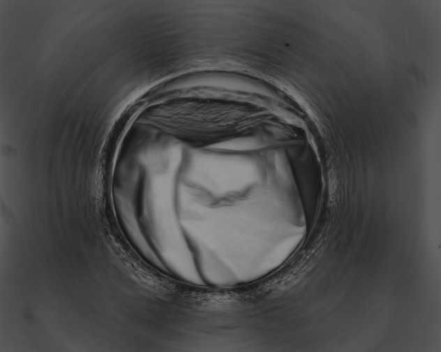 X0000090500975200708031205