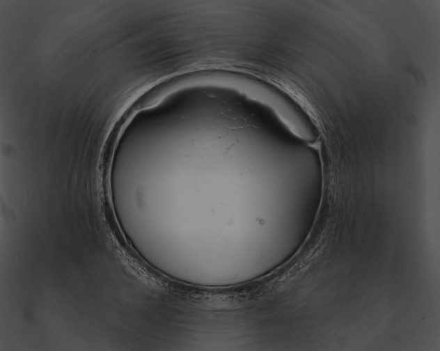 X0000090500976200708031205