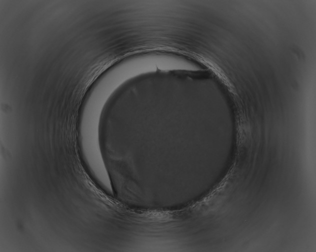 X0000090500977200708031205