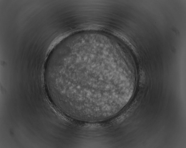 X0000090500978200708031205