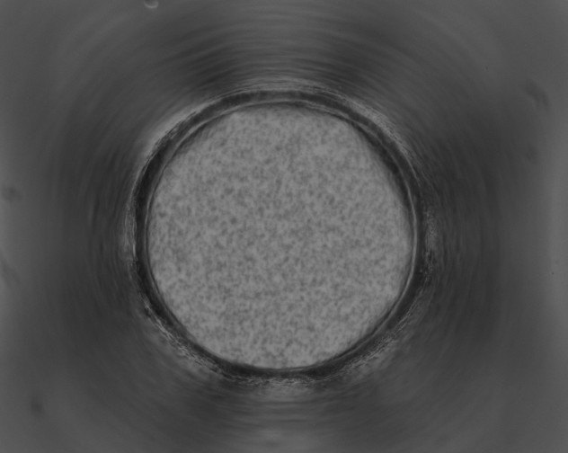 X0000090500979200708031205