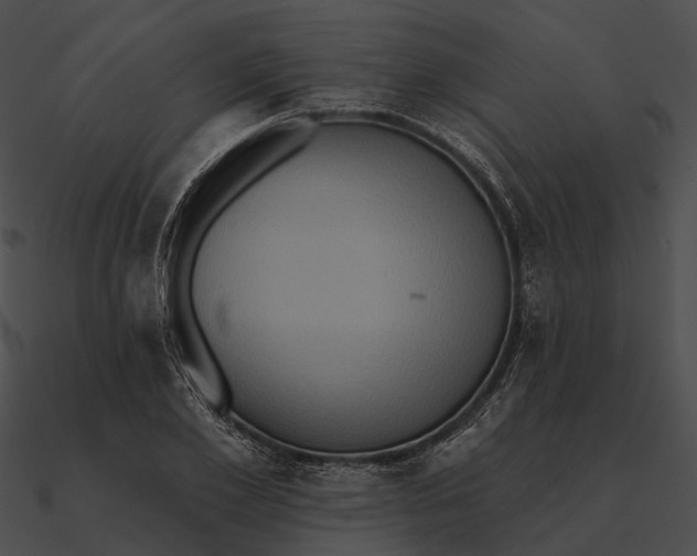 X0000090500981200708031205