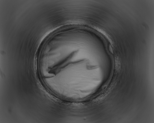 X0000090500983200708031205