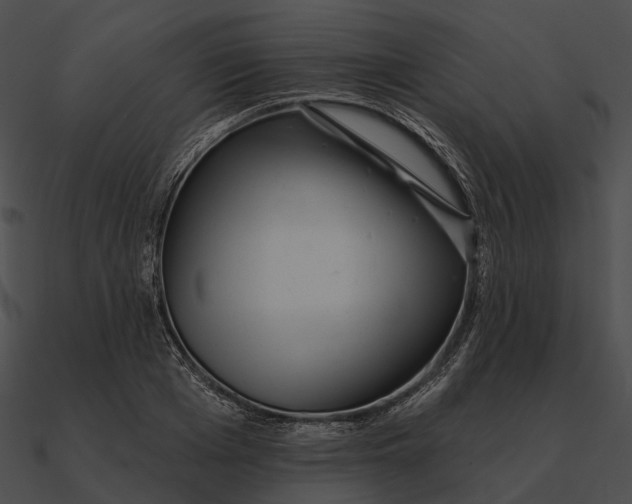 X0000090500985200708031205