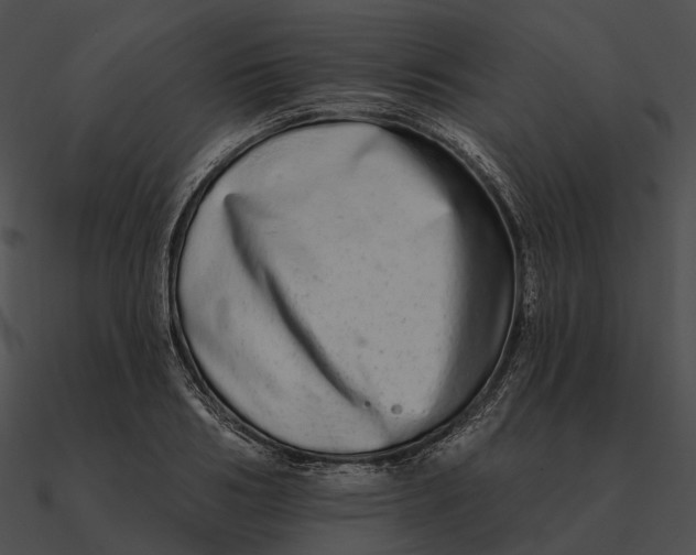 X0000090500986200708031205