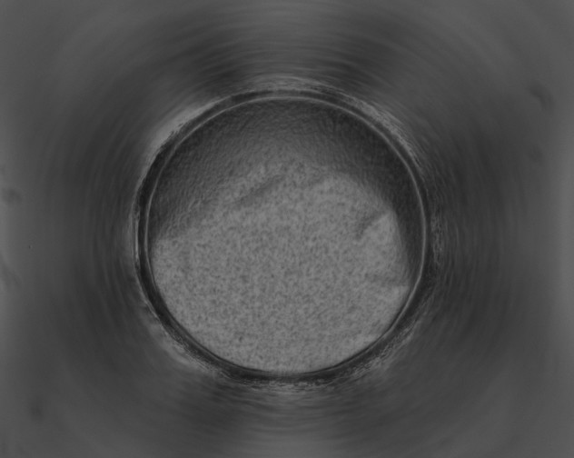 X0000090500987200708031205