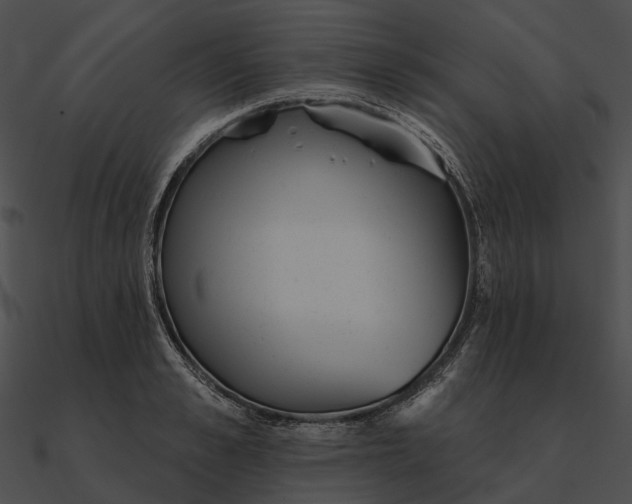 X0000090500989200708031205