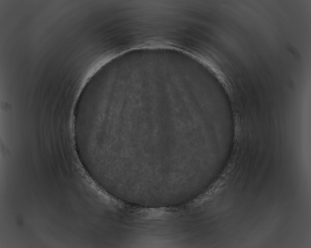 X0000090500990200708031205