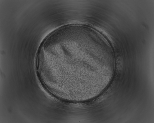 X0000090500991200708031205