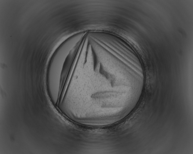 X0000090500992200708031205