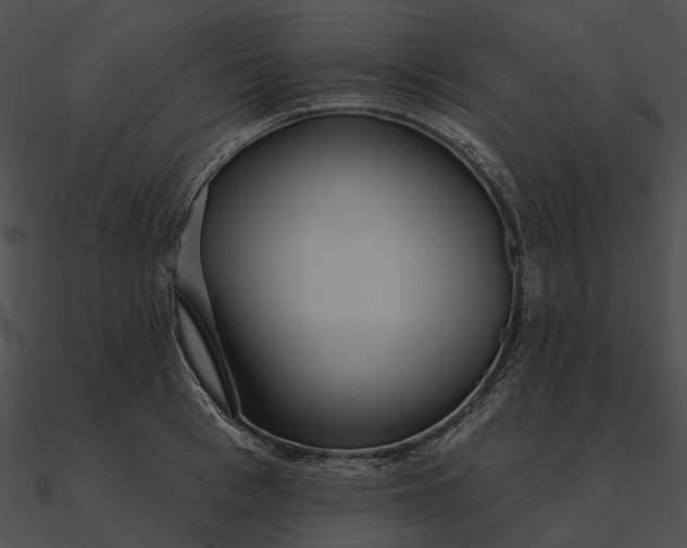 X0000090500993200708031205