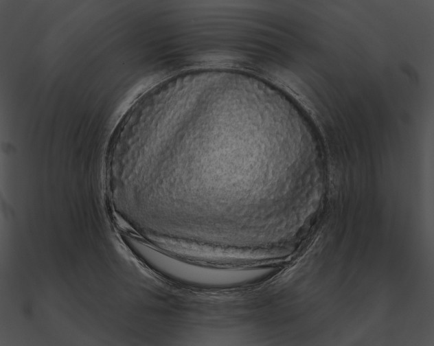 X0000090500994200708031205