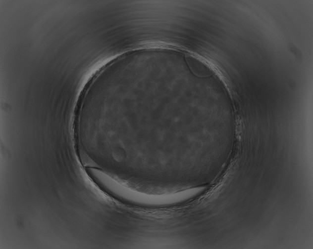 X0000090500995200708031205