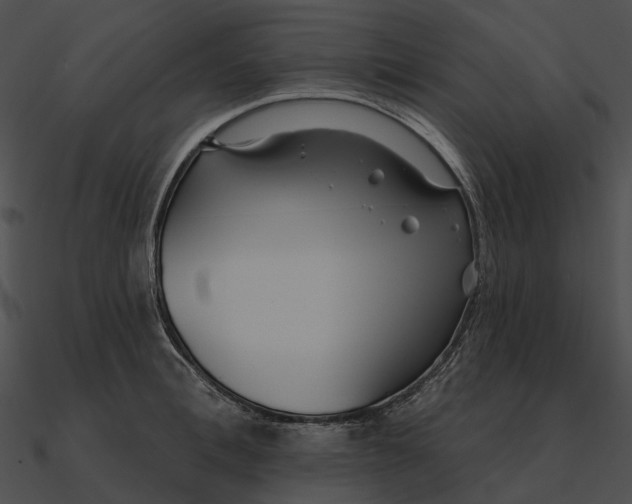 X0000090500996200708031205