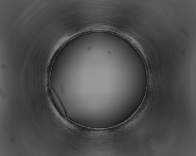 X0000090500997200708031205