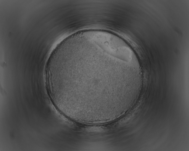 X0000090500998200708031205