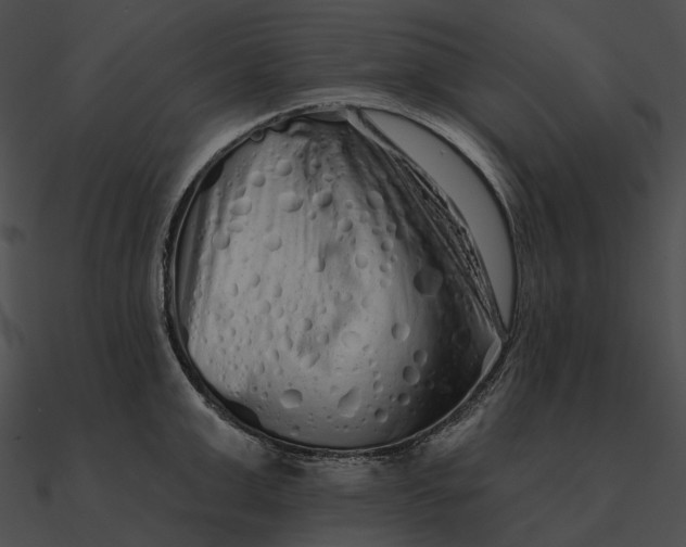 X0000090500999200708031205