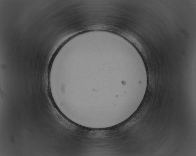 X0000090501000200708031205