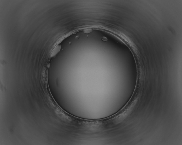 X0000090501001200708031205