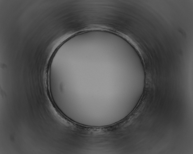 X0000090501003200708031205