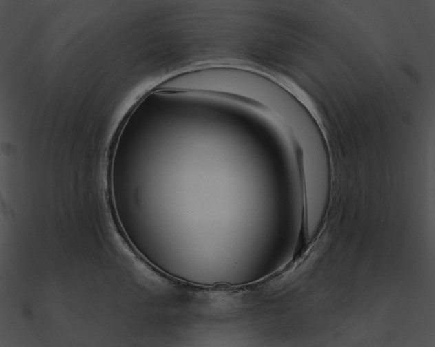 X0000090501005200708031205