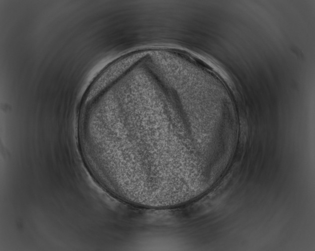 X0000090501006200708031205